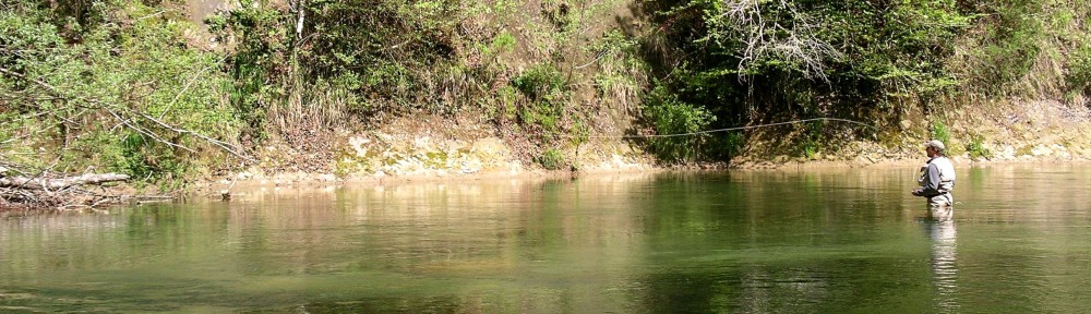 IMGP0859