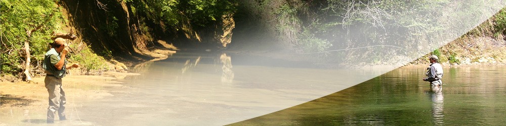 header1