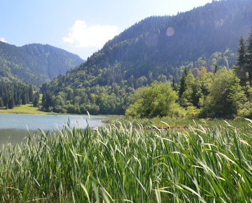 Lac Vallon